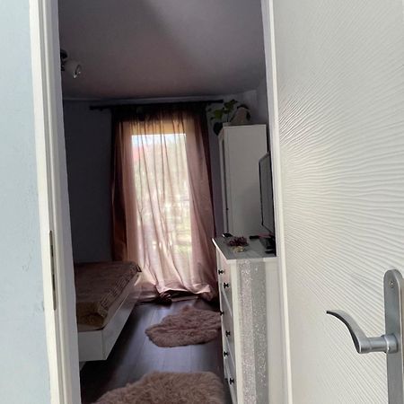 Апартаменти Garsoniera La Casa Тімішоара Екстер'єр фото